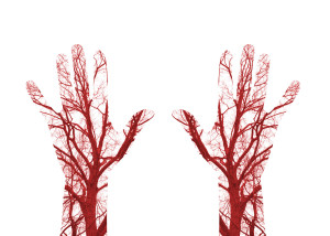 52935898 - close up human blood vessels in male hand