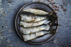 sardines-1489630_1920