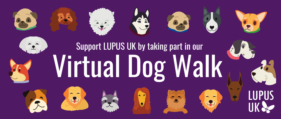 Virtual Dog Walk