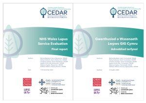 English and Welsh covers of CEDAR report